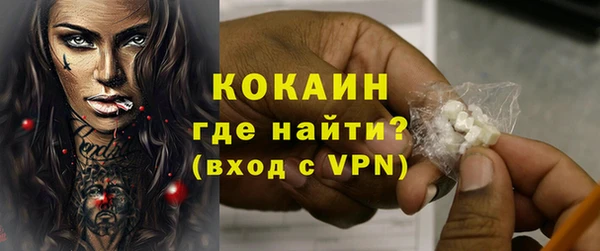 крисы Мегион