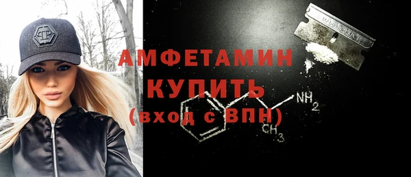 крисы Мегион