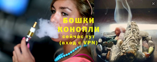 крисы Мегион