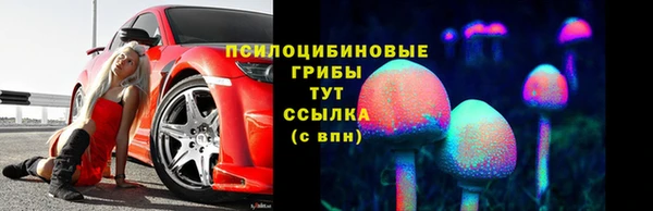 крисы Мегион
