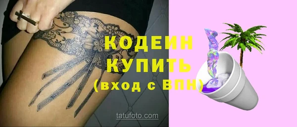 крисы Мегион