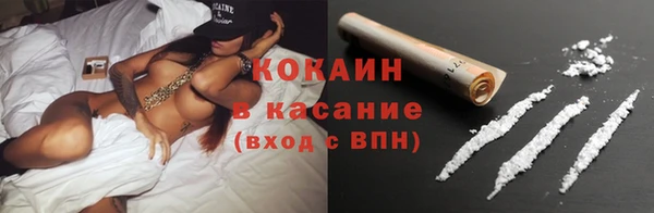 крисы Мегион