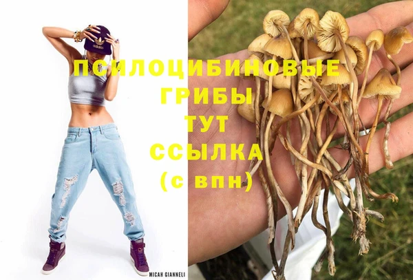 дмт Медвежьегорск