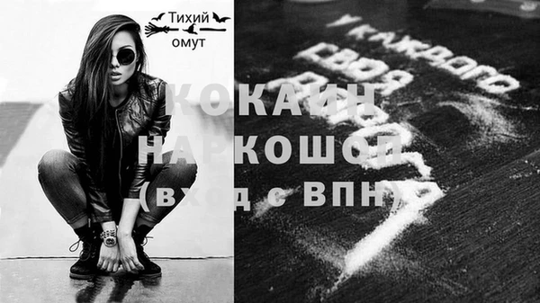 дмт Медвежьегорск