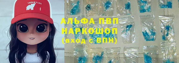 крисы Мегион