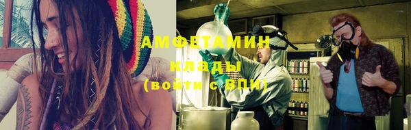 крисы Мегион