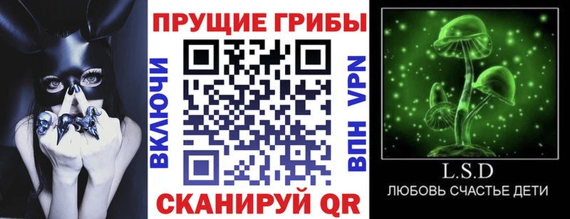 купить наркотики цена  Ессентукская  Псилоцибиновые грибы Magic Shrooms 
